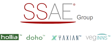 SSAE Group